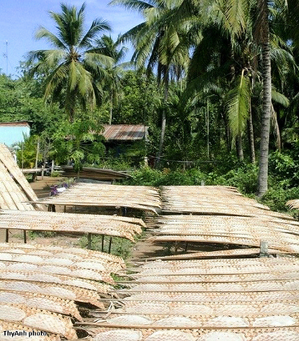 Một sân phơi bánh tráng. Ảnh: ThyAnh.