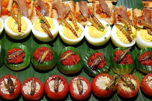 Các món côn trùng Côn trùng được dùng như thức ăn phổ biến ở nhiều nước Đông Nam Á. Chúng có thể được chế biến thành đồ ăn vặt khô, ăn cùng cơm, hoa quả... Những xe bán đồ ăn côn trùng phổ biến trên đường phố Thái Lan thu hút nhiều du khách tò mò.