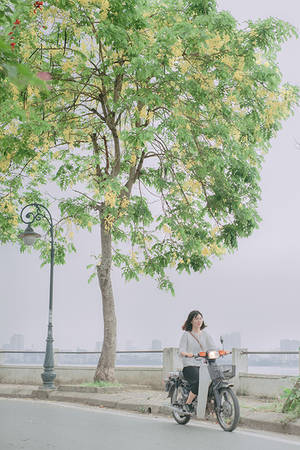 Đường ven Hồ Tây - địa điểm chụp ảnh đẹp Hà Nội mùa hè