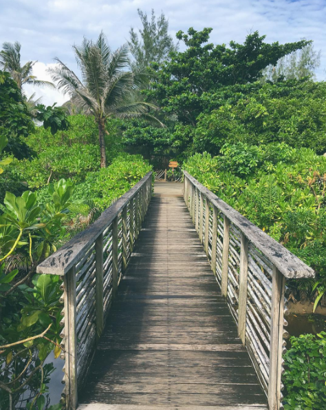 Hoạt động du lịch Côn Đảo