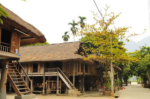 Đặc sản Mai Châu như xôi nếp nương gà đồi