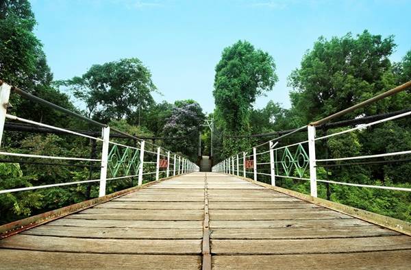 Khu du lịch sinh thái rừng Madagui là địa điểm dừng chân trên đường đi Đà Lạt vô cùng lý tưởng