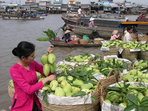 Du lịch Miền Tây - Những điểm đến du lịch hè giải nhiệt