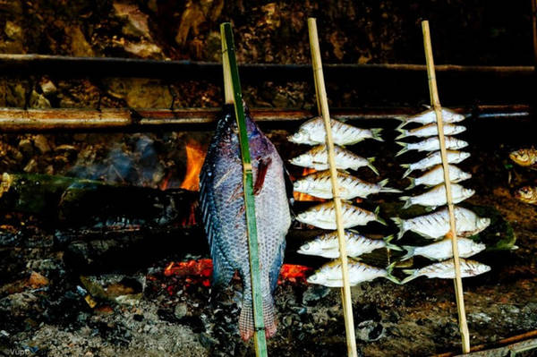 Thung Nai nổi tiếng với món đặc sản cá nướng - điểm du lịch mùa thu gần Hà Nội