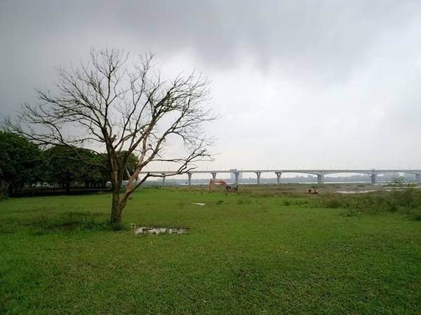 Khám phá vườn nhãn Vĩnh Tuy xanh mướt sát ven sông Hồng