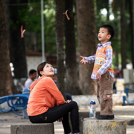 Du lịch Sài Gòn - Sẽ có một mùa Chò Nâu đặc biệt trong tâm trí bạn khi đã từng ở Sài Gòn.