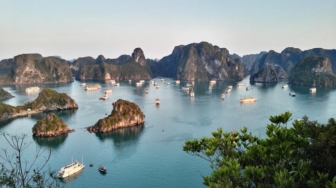 Khách Tây nghĩ: Họ sẽ được ngâm mình trong khung cảnh yên tĩnh của vịnh Hạ Long, tận hưởng ánh mặt trời bên những bãi biển cát trải dài. Ảnh: Tripzilla.