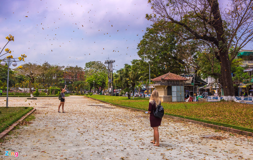 Khung cảnh mùa lá rụng ở Huế cực kỳ thơ mộng và bình yên