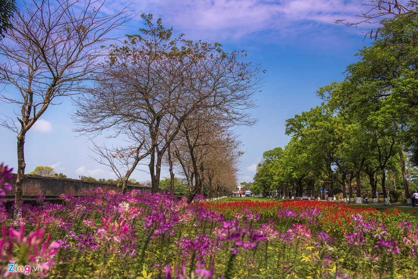 Bức tranh thiên nhiên tuyệt mỹ mùa lá rụng ở Huế