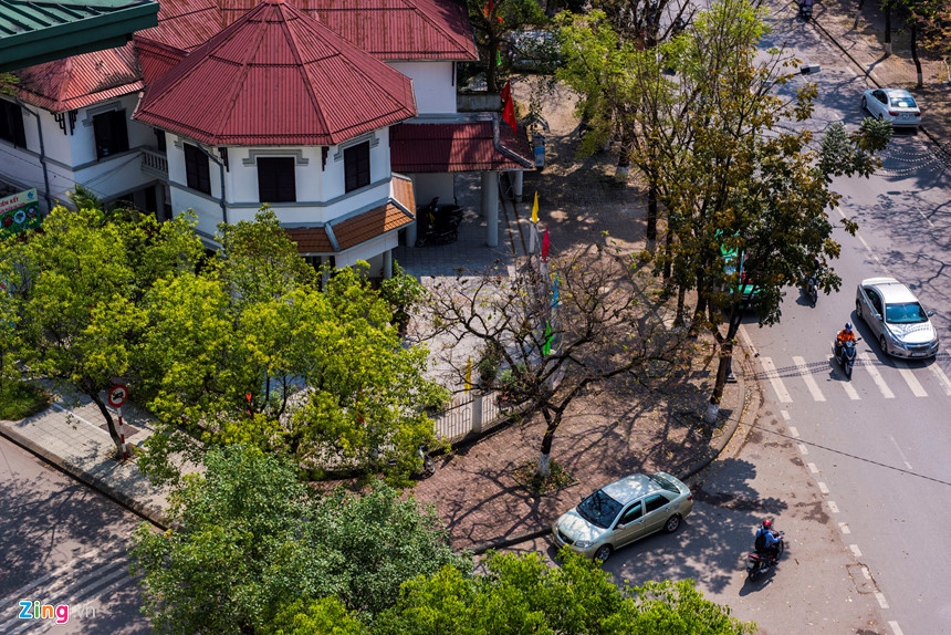 Những sắc màu thiên nhiên tuyệt đẹp trong mùa lá rụng ở Huế