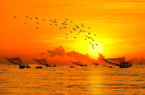 Thuyền về - ảnh đẹp Đà Nẵng