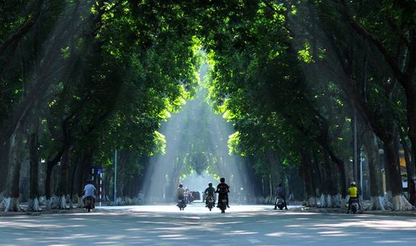 Phố Phan Đình Phùng rợp bóng cây xanh và biệt thự Pháp cổ
