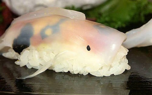 Lát mực thái mỏng theo hình cá tạo nên sushi cá koi sinh động
