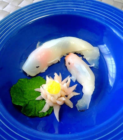 Cặp cá sushi cá koi bơi quanh khóm hoa súng