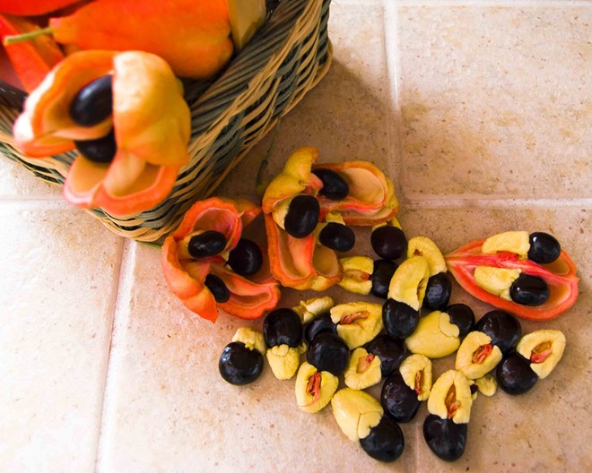Hạt Ackee (Jamaica)