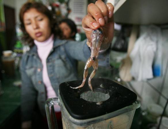 Món ăn đáng sợ ếch pha chế thức uống