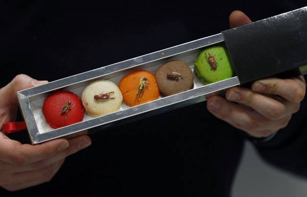 Món ăn đáng sợ bánh hạnh nhân trang trí côn trùng