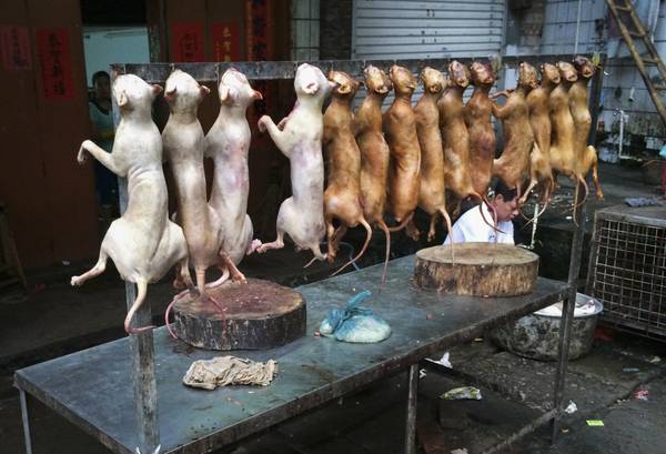 Món ăn đáng sợ tại lễ hội thịt chó