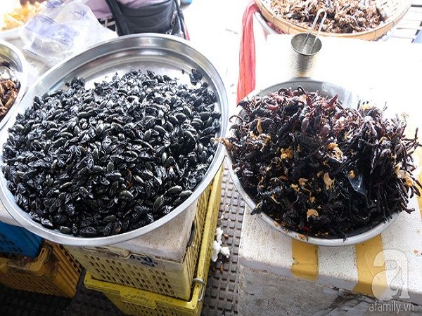 Cũng giống như Thái Lan, Campuchia có khá nhiều món ăn chế biến từ côn trùng như bọ, bò cạp. Chúng được chiên giòn, bày trên khay, hoặc xâu thành xiên, tùy từng nơi. Món này không đắt nhưng không dễ để thưởng thức.