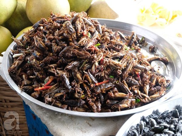 Một khay đầy ắp châu chấu. So với nhiều loại côn trùng khác, châu chấu đã thuộc dạng dễ ăn, nhưng nó vẫn là thách thức với nhiều người. Ở Siem Reap, các hàng bán côn trùng phải đề biển bằng tiếng Anh, nói rằng, nếu chỉ chụp ảnh, sẽ phải trả 1 đô la, còn nếu mua bất cứ thứ gì, bạn được chụp ảnh miễn phí.