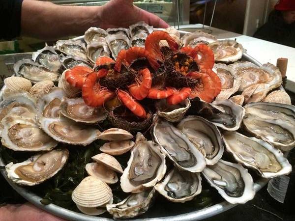 Hàu Belon ngon nhất vùng Tây Bắc Brittany, Pháp