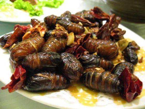 Eri Polu - Đặc sản Ấn Độ làm từ nhộng tằm