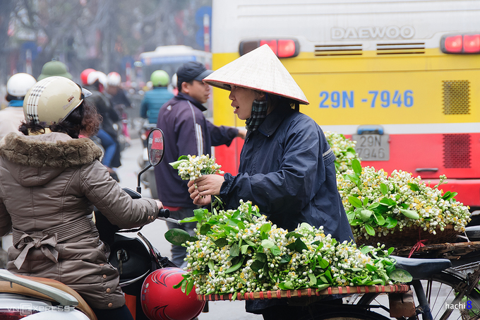 Mùa hoa bưởi Hà Nội thơm ngát trên phố phường tháng 3