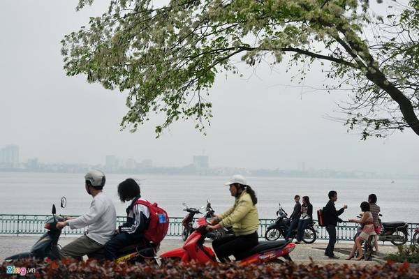 Hồ Tây Hà Nội vào mùa đông có nét đẹp riêng, lạnh nhưng không làm lòng người giá rét