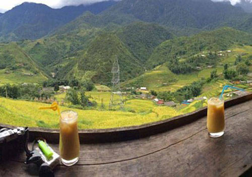 Gem Valley quán cà phê Sapa view thung lũng lúa óng vàng