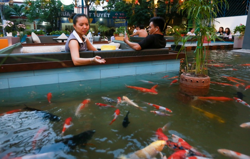 Đến đây, bạn sẽ có dịp quan sát và cho cá ăn. Nhân viên sẽ phát đồ ăn cho cá miễn phí với khách có nhu cầu. Không gian sân thượng, phòng máy lạnh, khu vực hút thuốc đều có góc nhìn nhìn hồ cá.  Thực đơn của quán đa dạng, giá dao động từ 20.000 đồng nhưng chưa được khách đánh giá cao. Ảnh: Quỳnh Trần.