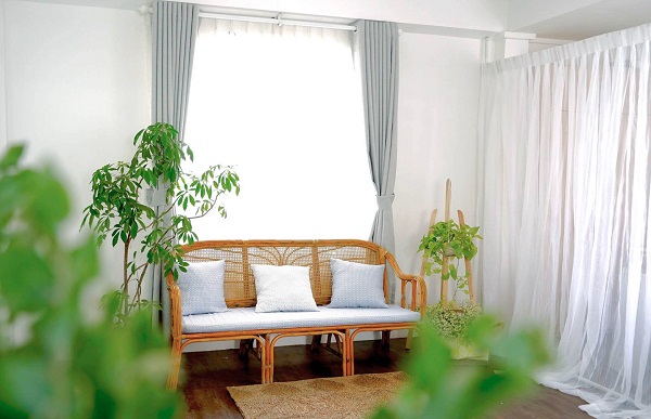 Studio Giáng sinh Sài Gòn Tháng 2 với ánh sáng tự nhiên