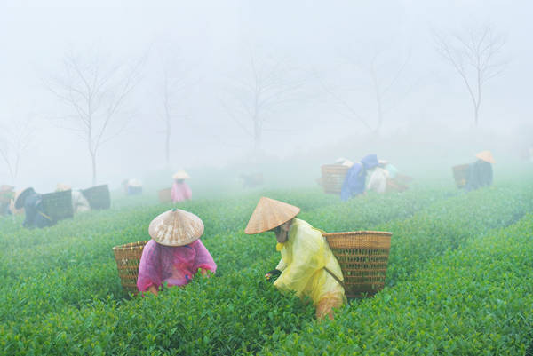 Du lịch Mộc Châu mùa mưa ngắm thác Dải Yếm