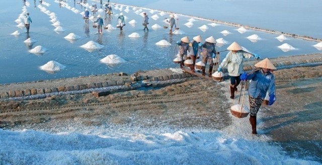 Cánh đồng muối Hòn Khói gần Dốc Lết Nha Trang Cánh đồng muối Hòn Khói gần Dốc Lết Nha Trang