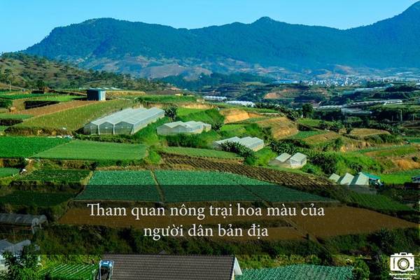 Tham quan trang trại Đà Lạt