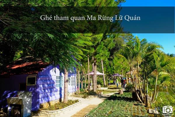 Từ trung tâm thành phố các bạn đi về hướng Thung Lũng Vàng, tới một ngã ba rất lớn, nếu rẽ phải sẽ đi làng Cù Lần, hồ Dankia, rẽ trái sẽ đi Ma Rừng lữ quán. Từ ngã ba này, đi thêm chừng 5 km sẽ thấy biển báo bên phải, đi theo lối đó xuống một thung lũng, gần cuối đường là tới.