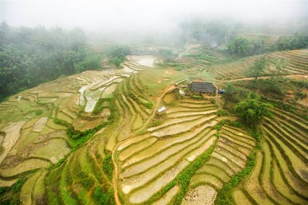 Dịp hè trùng với thời điểm mùa nước đổ trên những thửa ruộng bậc thang. Ngồi cáp treo lướt qua thung lũng Mường Hoa, du khách sẽ được chiêm ngưỡng những thửa ruộng bậc thang tầng tầng lớp lớp như một bức tranh lập thể giữa thiên nhiên. Hiếm hình thức du lịch nào có thể giúp du khách ngắm những đường cong tuyệt đẹp này từ độ cao hàng trăm mét.