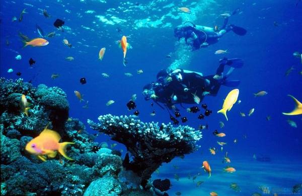 Du lịch Phan Thiết - Lặn biển vốn là môn thể thao hấp dẫn với nhiều người.