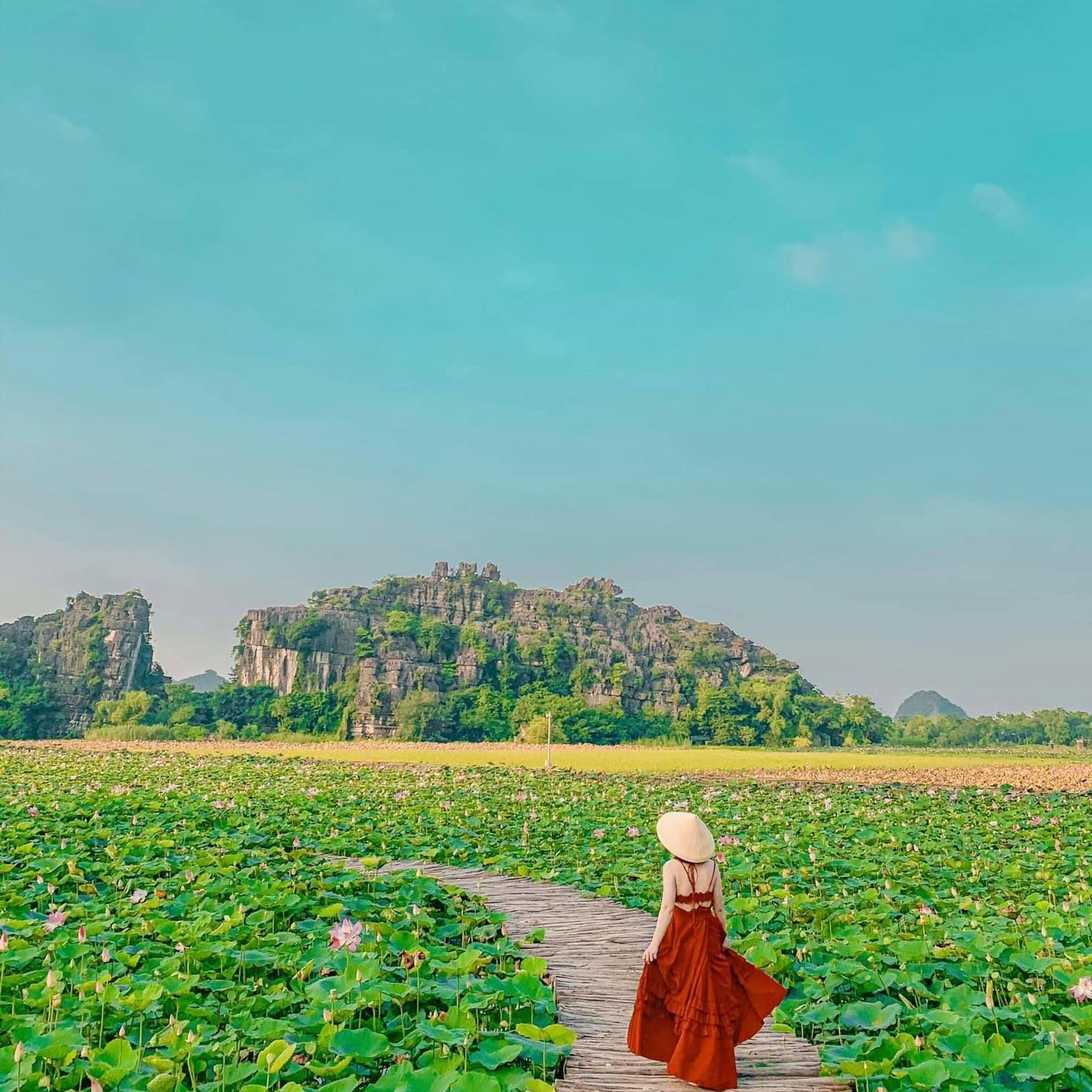 Hang Múa Ninh Bình mùa sen