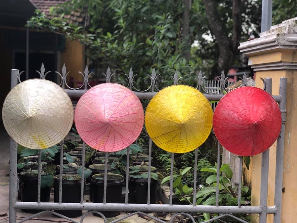 Những chiếc nón lá sen được nhuộm màu sắc. Ảnh: Báo Thanh niên.