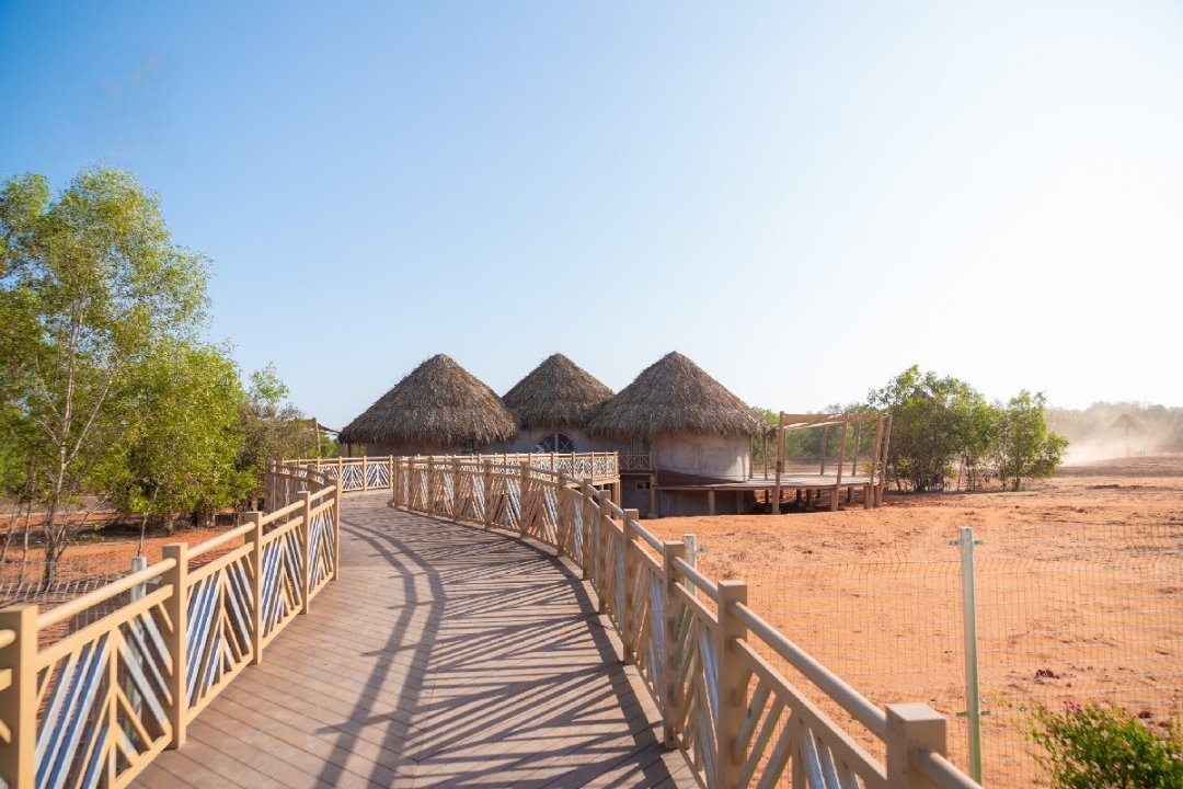 Safari Cafe tái hiện hoang mạc châu Phi tại NovaDreams Phan Thiết
