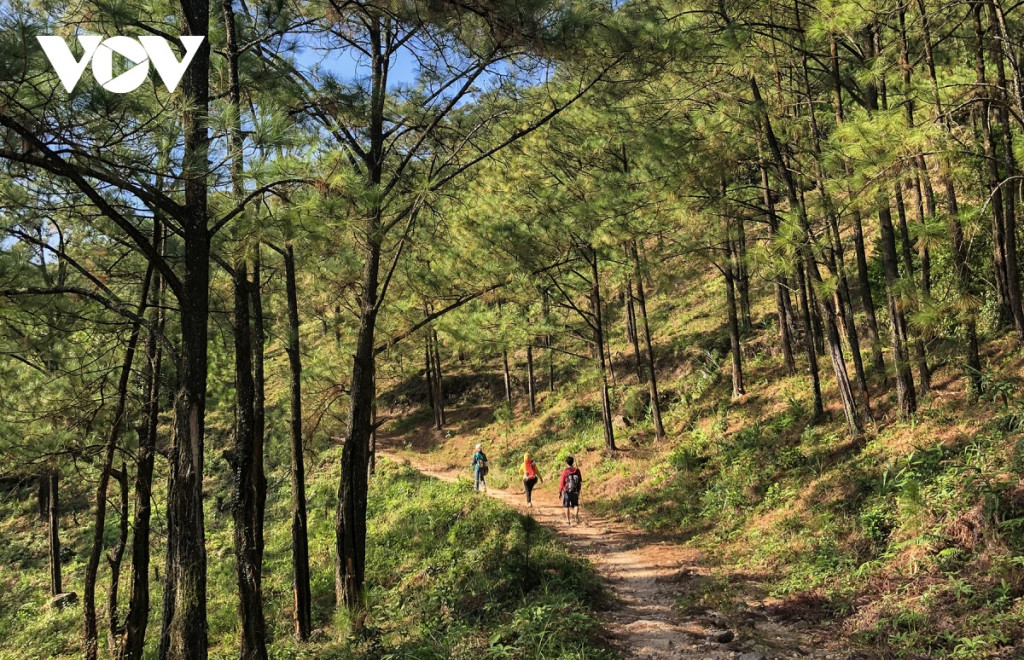 Hành trình trekking lên Núi Đá Chồng