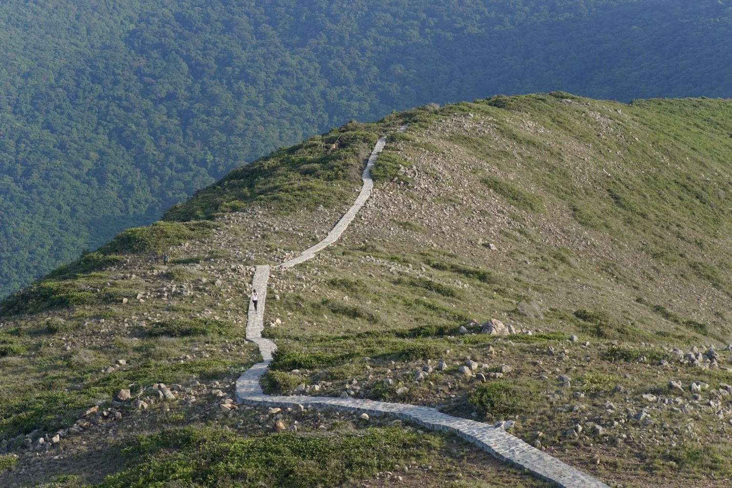 Check-in sống lưng khủng long khi trekking núi Lò Vôi Côn Đảo