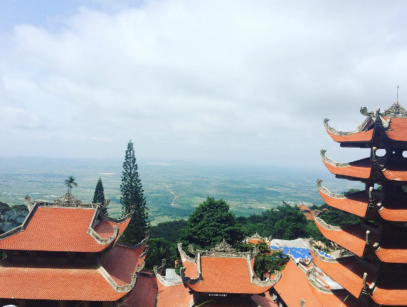 Hoa nở trên Núi Tà Cú