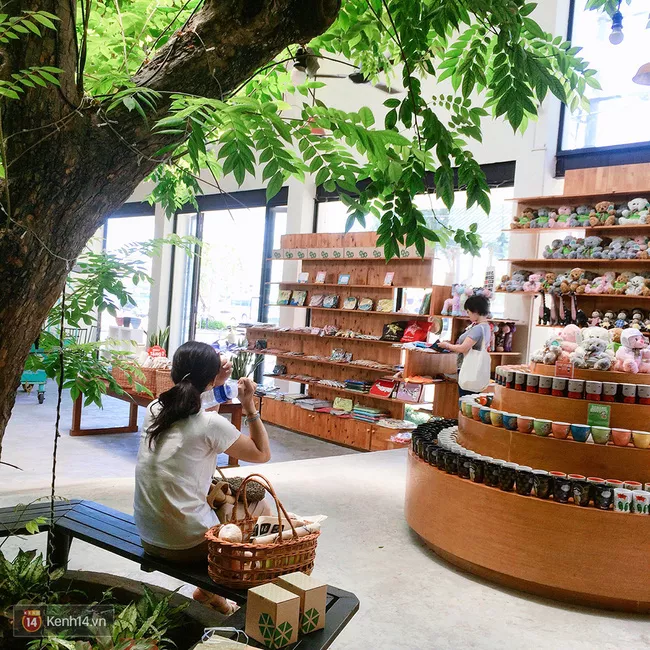 Gốc cây lớn quán cafe đẹp Đà Nẵng Danang Souvenirs