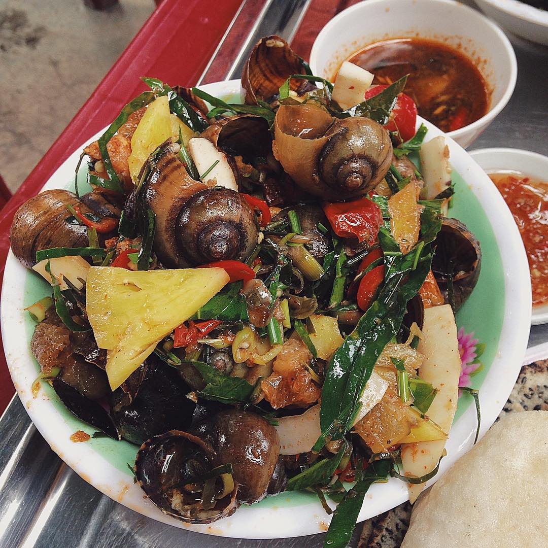 oc-chien-quang-binh-ivivu