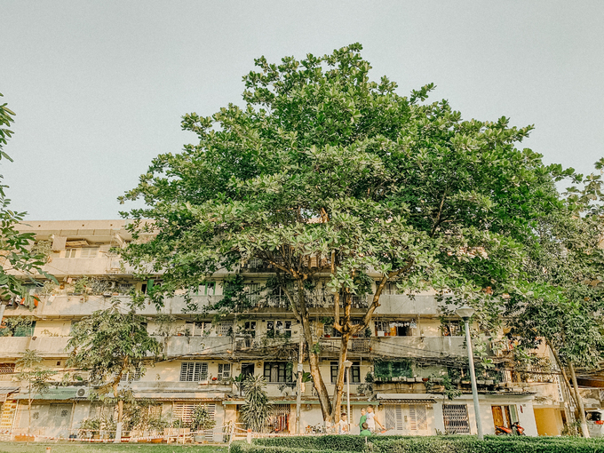 Bán đảo Bình Quới - Thanh Đa được bao bọc bởi sông Sài Gòn và kênh Thanh Đa, tạo nên ốc đảo Thanh Đa bình yên