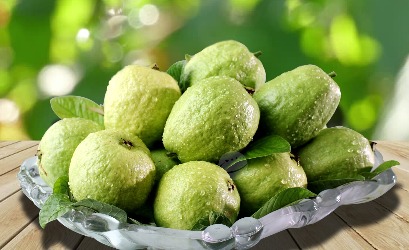 Ổi bo đặc sản Thái Bình