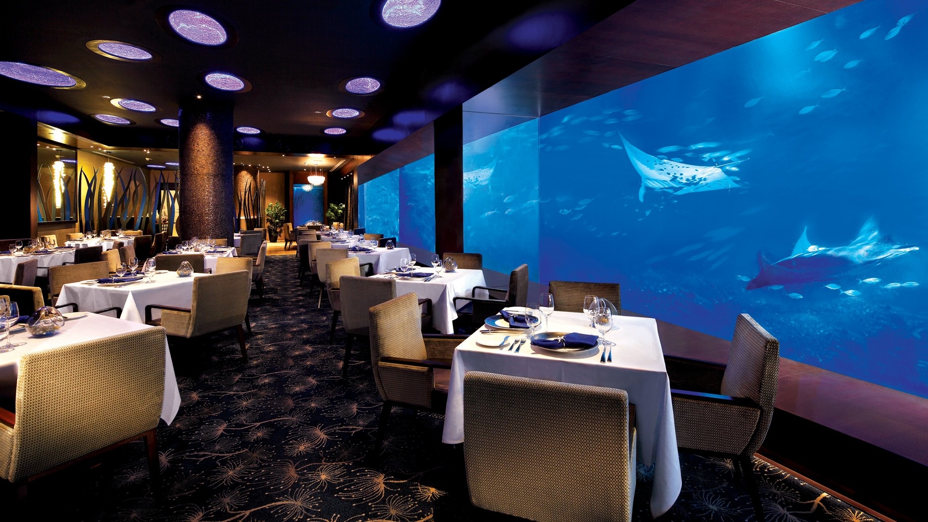 Ocean Restaurant nhà hàng Singapore view đẹp dưới nước