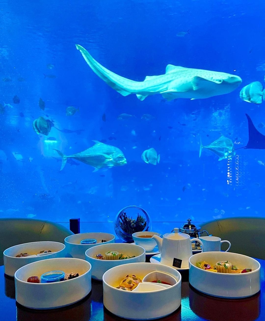 Không gian đại dương tại Ocean Restaurant