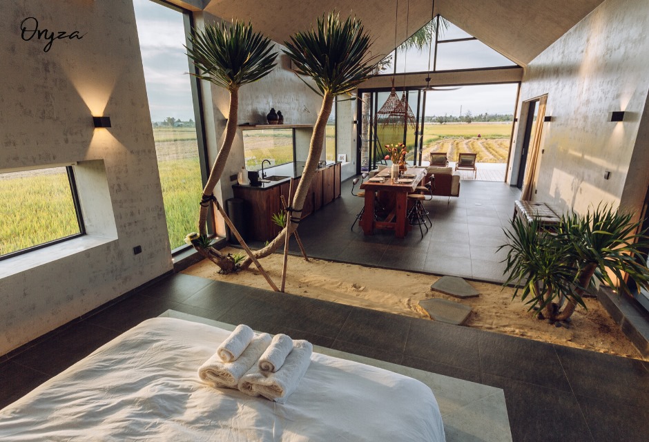 Oryza Villa Homestay giữa đồng lúa